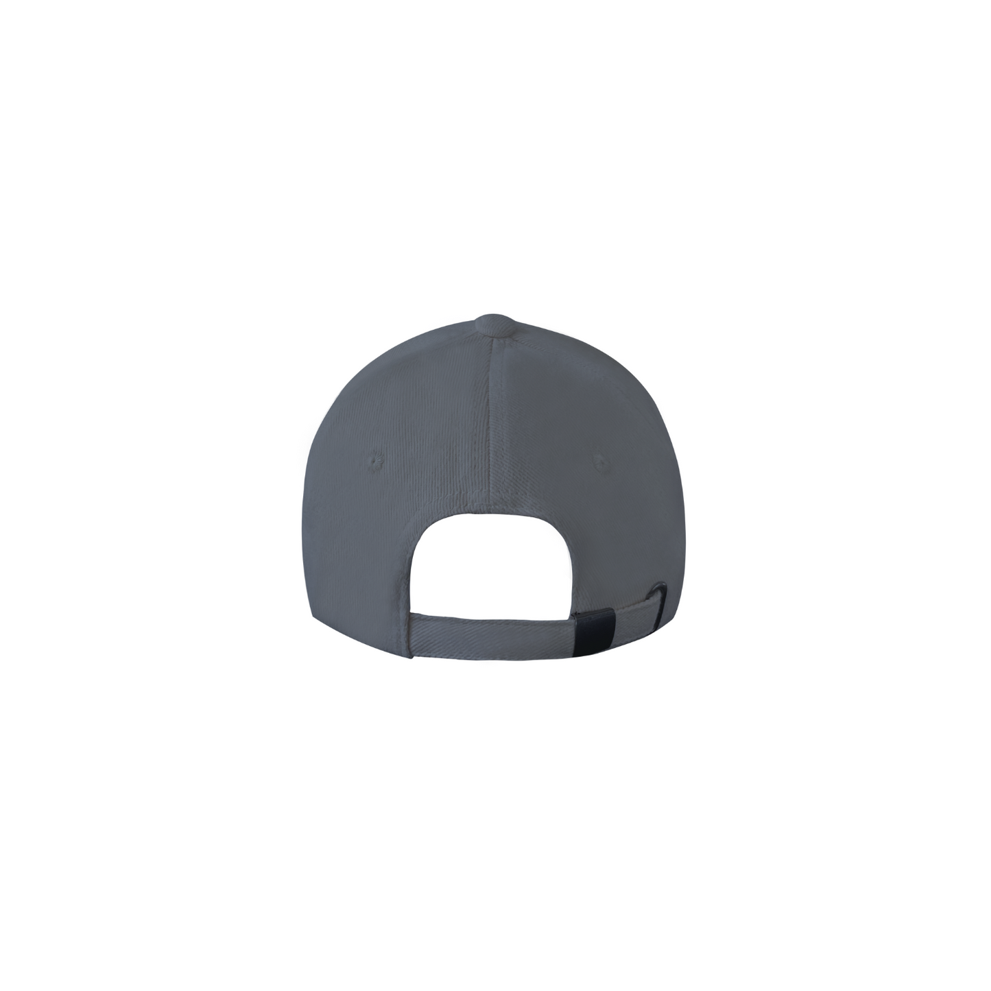 Charcoal Logo Cap
